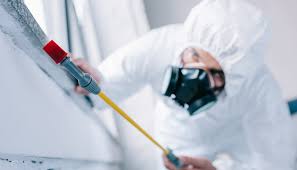 Best Organic or Eco-Friendly Pest Control  in East Hazel Crest, IL